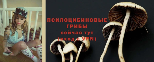 героин Алзамай