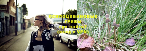 дмт Гусиноозёрск