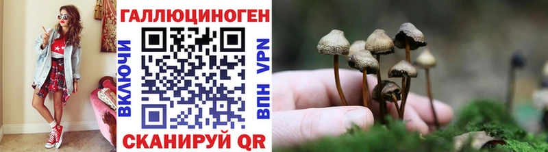 Галлюциногенные грибы Psilocybine cubensis  закладки  OMG как войти  Мураши 